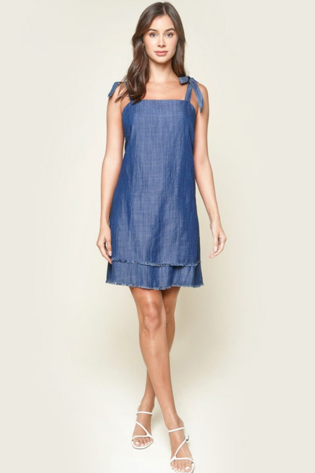 Texas Chambray Tie Dress